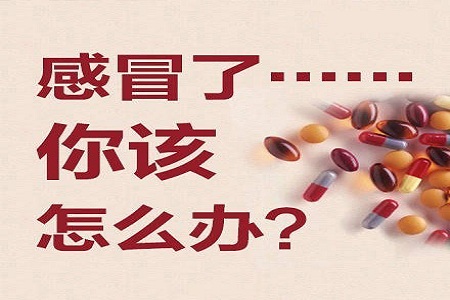 感冒了你該怎么辦 感冒了你該怎么辦