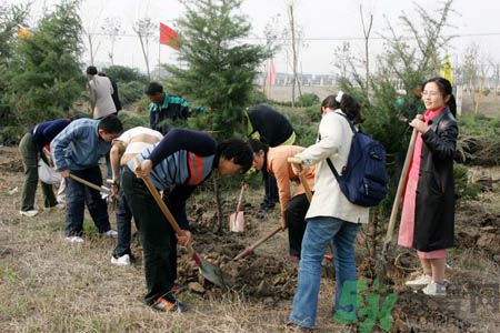 植樹(shù)節(jié)是幾月幾日？植樹(shù)節(jié)可以做些什么活動(dòng)？