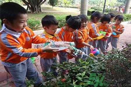 如何提高植樹的成活率？植樹節種樹要注意哪些細節？
