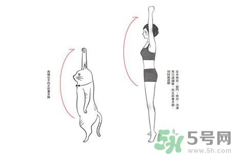 電腦族肩膀痛疼怎么辦？肩膀痛疼怎么解決？