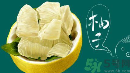 多吃柚子能減肥嗎？怎樣吃柚子才健康？