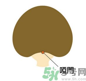 臉總是腫腫的怎么辦？臉有點(diǎn)浮腫怎么消腫？