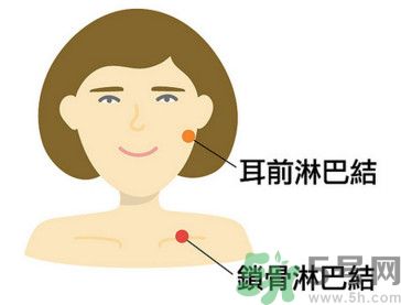 臉總是腫腫的怎么辦？臉有點(diǎn)浮腫怎么消腫？