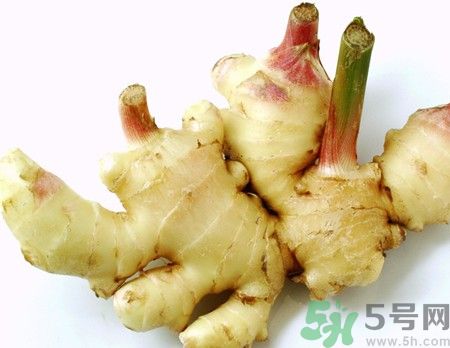 生姜發芽了能吃嗎？生姜發綠了能吃嗎？