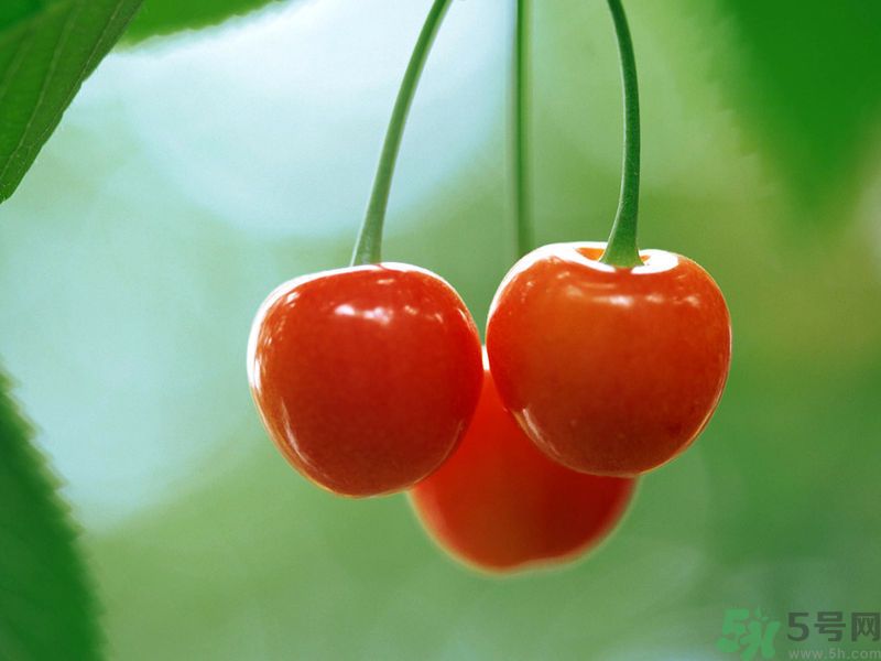 春分時(shí)節(jié)養(yǎng)生吃什么水果好？那些水果可以春天吃？