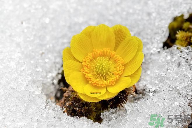 清明節(jié)有哪些習(xí)俗？清明節(jié)習(xí)俗的來源？