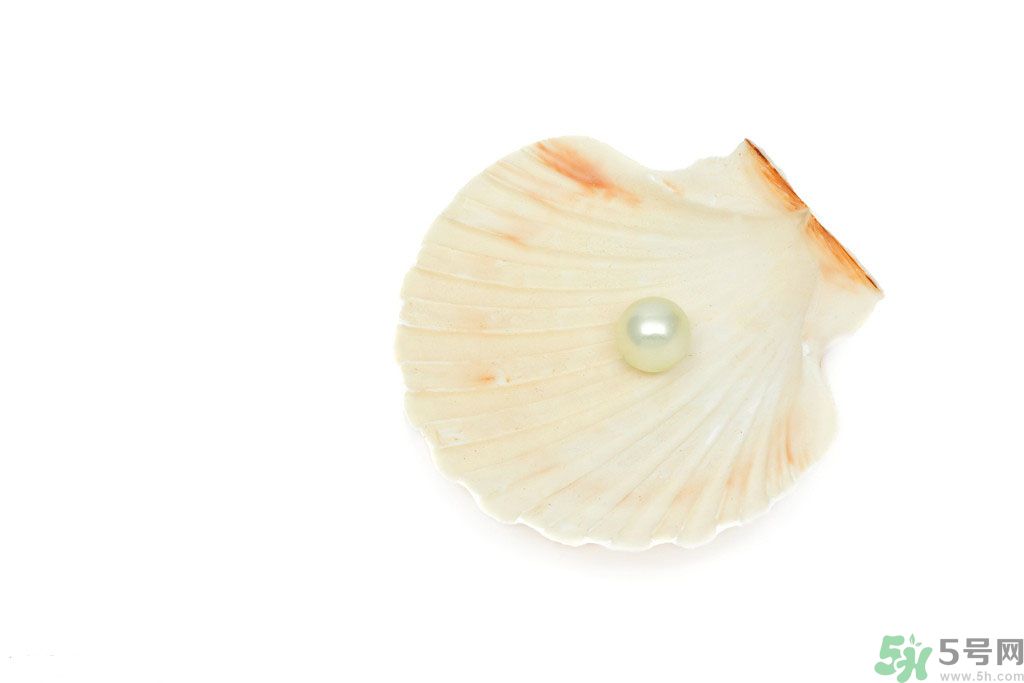 河蚌怎么炒才不會(huì)老？炒河蚌要注意什么？