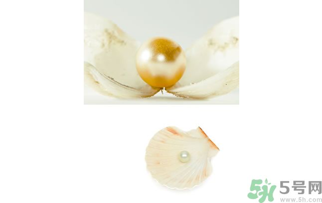 河蚌怎么炒才不會(huì)老？炒河蚌要注意什么？