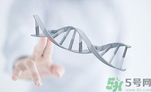糖尿病會遺傳嗎？糖尿病會遺傳給胎兒嗎？