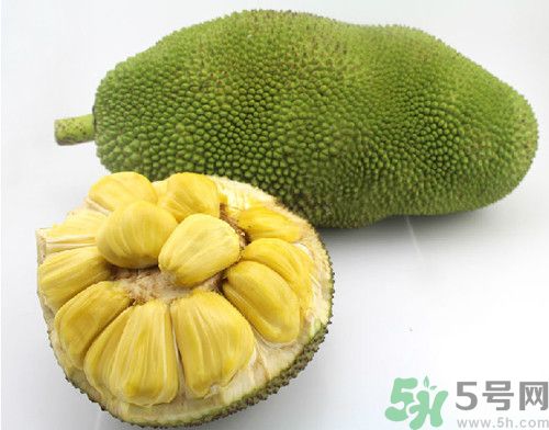 菠蘿蜜和榴蓮的區別,菠蘿蜜和榴蓮哪個好吃
