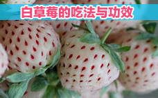 冬天草莓貴嗎 冬天草莓是反季節(jié)嗎