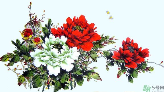 牡丹的花語是什么？牡丹的寓意是什么？