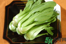 油菜是發物嗎?油菜是不是發物?.png 油菜是發物嗎?油菜是不是發物?.png
