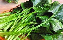 菠菜是發物嗎?菠菜是不是發物?.png