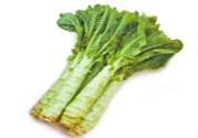 萵筍可以和芹菜一起炒嗎？萵筍和芹菜一起炒好嗎？