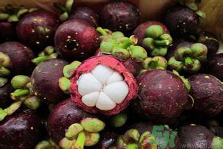 山竹可以和牛奶一起吃嗎？山竹和牛奶一起吃好嗎？