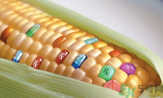 農業部怎樣回應轉基因食品？轉基因的食物有哪些？