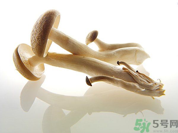 菇類的營(yíng)養(yǎng)價(jià)值有哪些？怎樣挑選優(yōu)質(zhì)的菇類？