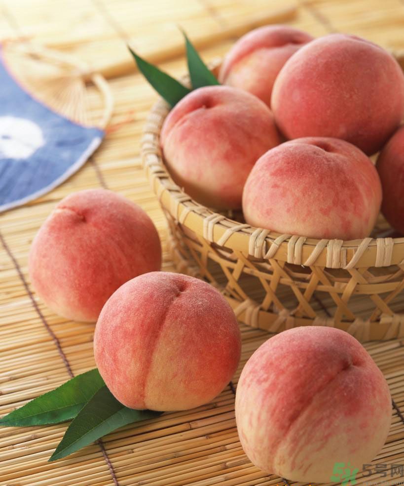 毛桃是發物嗎？毛桃是不是發物？