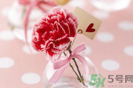 母親節送幾朵康乃馨好？母親節應該送幾朵康乃馨？