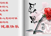 母親節送什么花好？母親節應該送什么鮮花？