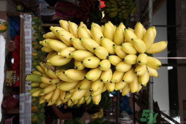 孕婦可以吃牛奶蕉嗎？孕婦吃牛奶蕉好嗎？
