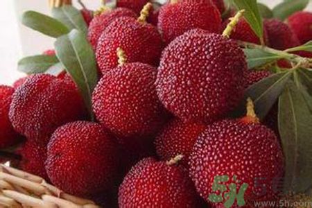 楊梅是不是發物？楊梅是發物嗎？