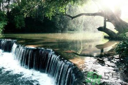 為什么夏至有雨三伏熱？夏至有雨三伏熱是什么意思？