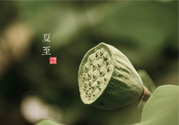 夏至有什么習(xí)俗？夏至吃什么傳統(tǒng)食物？