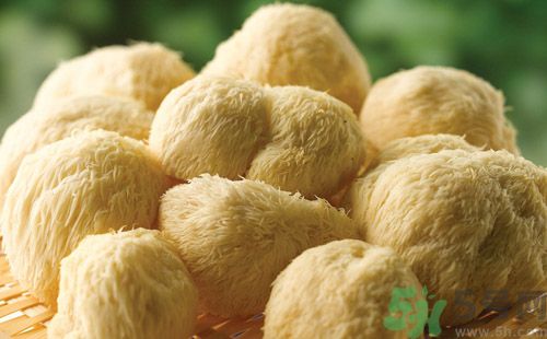 吃猴頭菇有什么好處？猴頭菇有什么營養(yǎng)價值？