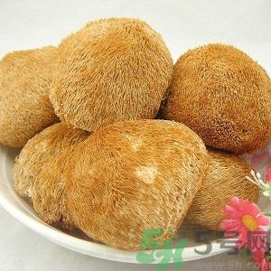 吃猴頭菇有什么好處？猴頭菇有什么營養(yǎng)價值？