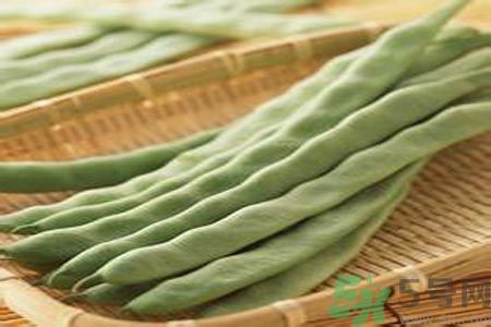 四季豆是發物嗎？四季豆是不是發物？