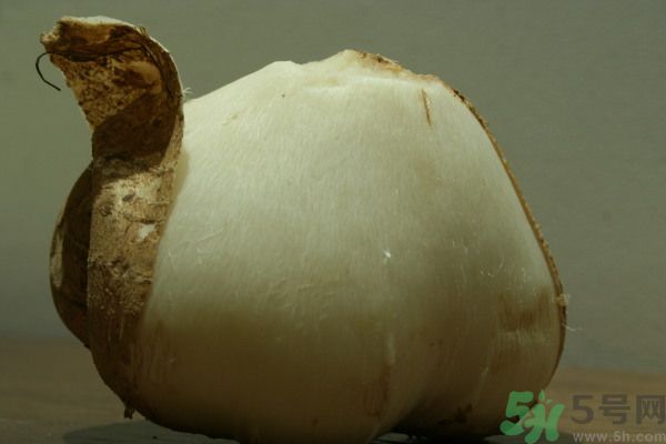 涼薯吃多了好嗎？地瓜吃多了會上火嗎？