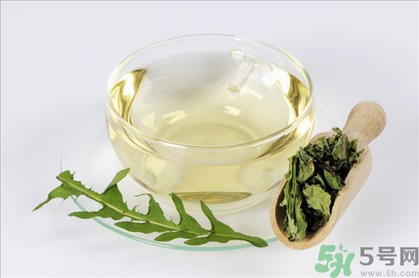 蒲公英根泡茶好還是蒲公英葉泡茶好？蒲公英根和葉哪個效果好？