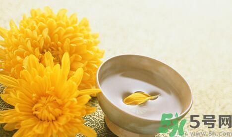 蒲公英可以祛痘嗎？蒲公英怎樣可以祛痘？