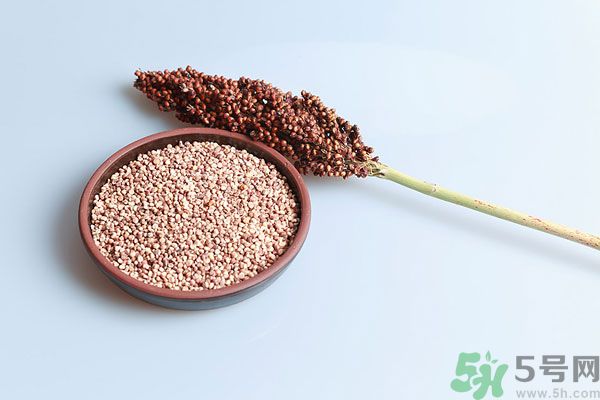 夏天吃高粱好嗎？夏天吃高粱有什么好處？