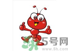 家里有螞蟻怎么辦？驅(qū)除螞蟻的方法是什么？