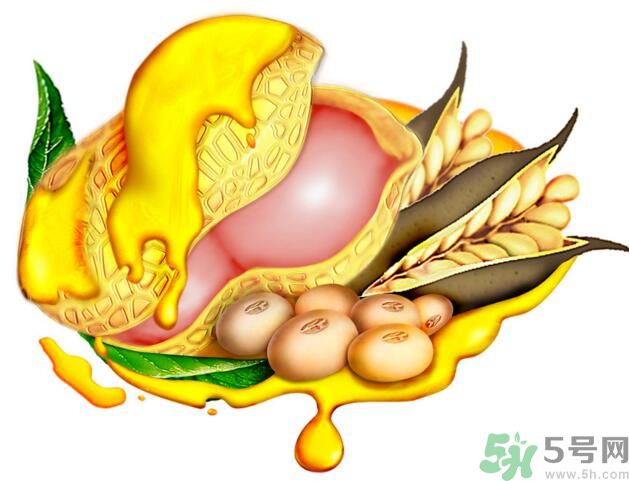 夏天吃哪種油好？什么油適合夏天吃？