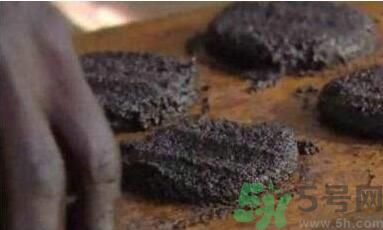 蚊子可以吃嗎？吃蚊子會怎么樣？