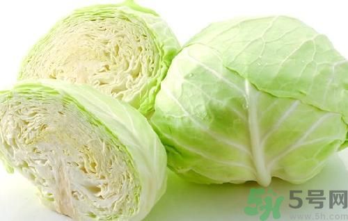 包菜不能和什么一起吃？包菜和什么相克？