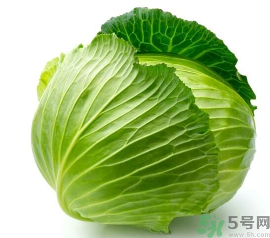 包菜可以放冰箱嗎？包菜怎么保存？