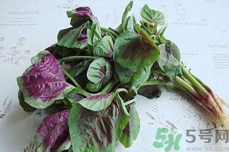 寶寶可以吃漢菜嗎？寶寶吃漢菜好嗎？