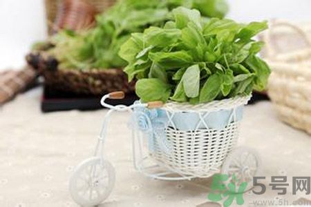 月經期間可以吃漢菜嗎？來月經可以吃漢菜嗎？