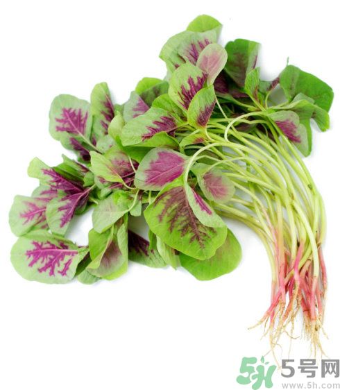 吃莧菜會皮膚過敏嗎？吃莧菜皮膚過敏怎么辦？
