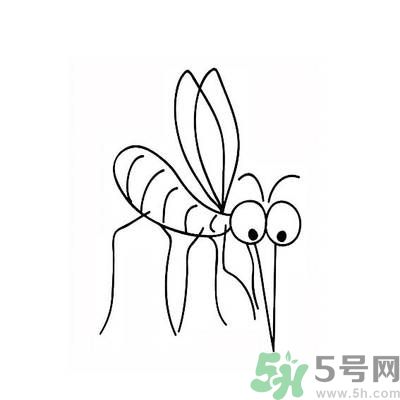 夏天家中有蒼蠅怎么辦？夏天如何滅蒼蠅？