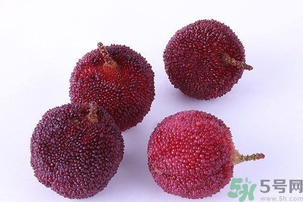 楊梅里面有小蟲怎么洗？楊梅里的蟲子怎么弄出來？