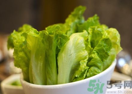 生菜是發物嗎?生菜是不是發物?