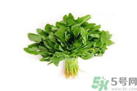 莧菜可以生吃嗎？莧菜生吃了會怎樣？