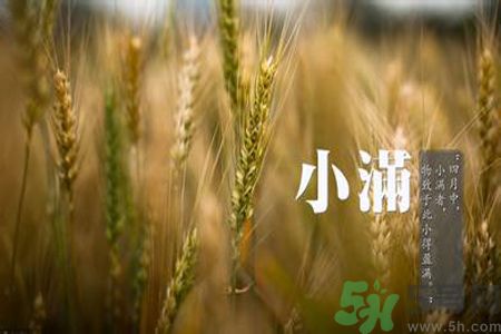小滿名字的由來？小滿是什么意思？