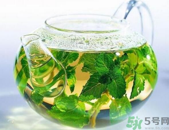 薄荷茶怎么泡好喝？薄荷茶的沖泡方法有哪些？